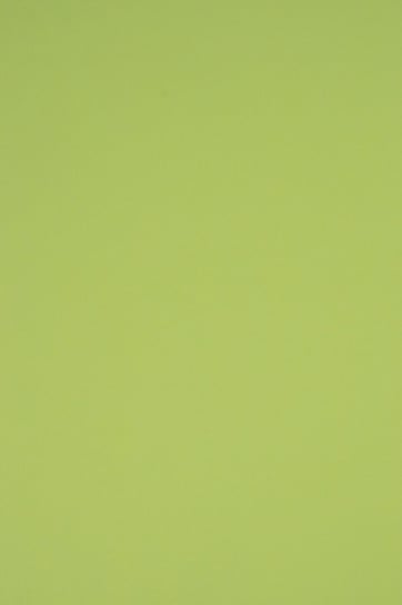 Papier ozdobny brystol kolorowy A3 j. zielony R74 230g 10 ark. - na okładki do albumów do prac scrapbookingowych Netuno