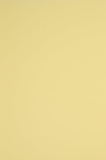 Papier ozdobny brystol kolorowy A3 j. żółty R12 230g 10 ark. - na zaproszenia kartki wielkanocne kartki 3D Netuno