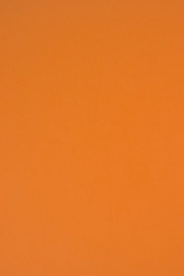 Papier ozdobny brystol kolorowy A3 pomarańczowy R24 230g 10 ark. - na kartki z życzeniami opakowania etykietki Netuno