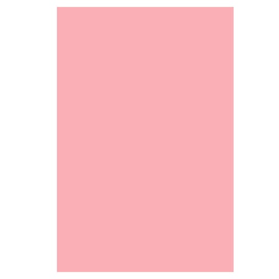Papier ozdobny brystol kolorowy A3 różowy R55 230g 10 ark. - na zaproszenia kartki okolicznościowe baby shower Netuno