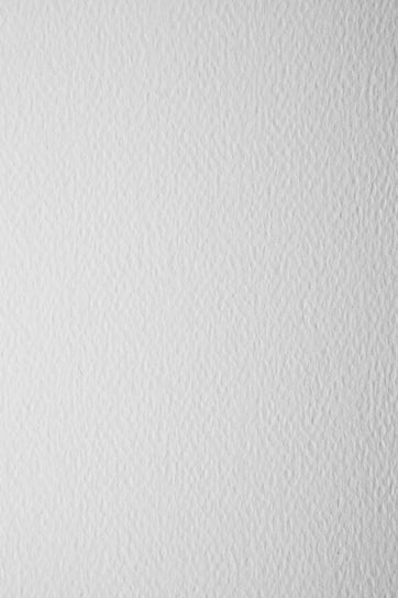 Papier ozdobny fakturowany A4 biały Prisma Bianco 220g 10 ark. - na zaproszenia do akwareli szkicu rysunku Prisma