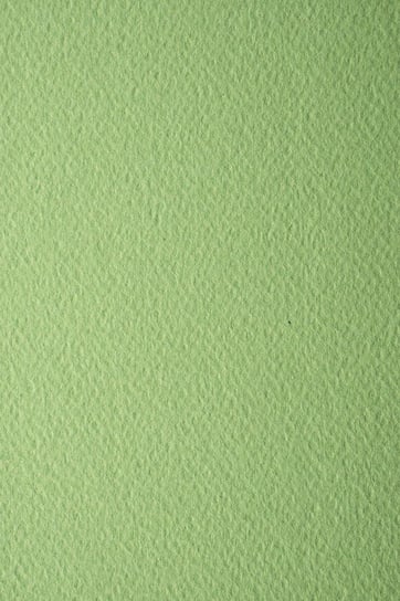 Papier ozdobny fakturowany A4 j. zielony Prisma Pistacchio 220g 10 ark. - na wizytówki dyplomy scrapbooking Prisma