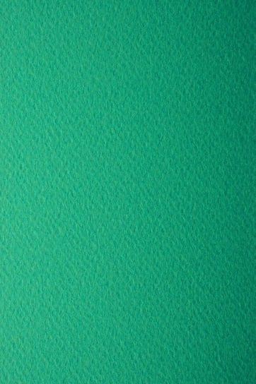Papier ozdobny fakturowany A4 zielony Prisma Verde 220g 10 ark. - na zaproszenia etykiety kartki świąteczne Prisma