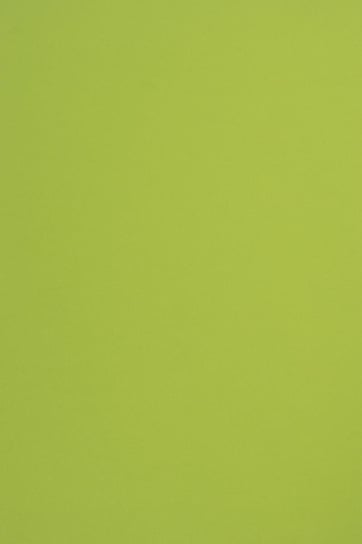 Papier ozdobny gładki A4 j. zielony Sirio Color Lime 115g 50 ark. - na wycinanki dla dzieci do przedszkola origami żywy kolor Sirio Color