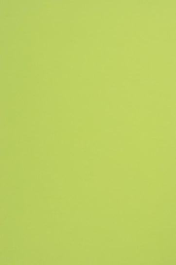 Papier ozdobny gładki A4 j. zielony Sirio Color Lime 170g 20 ark. - na zaproszenia laurki dyplomy kartki żywe kolory Sirio Color