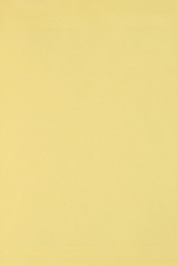 Papier ozdobny gładki A4 j. żółty Burano Giallo 250g 20 ark. - na okładki do albumów do prac scrapbookingowych Burano
