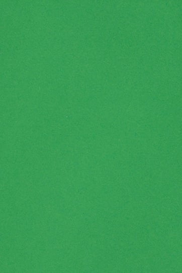Papier ozdobny gładki A4 zielony Burano Verde Bandiera 250g 20 ark. - na opakowania ozdobne pudełka kartki dekoracje wielkanocne Burano