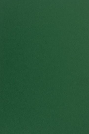 Papier ozdobny gładki A4 zielony Sirio Color Foglia 115g 50 ark. - na zaproszenia ślubne kartki świąteczne ozdoby choinkowe Sirio Color