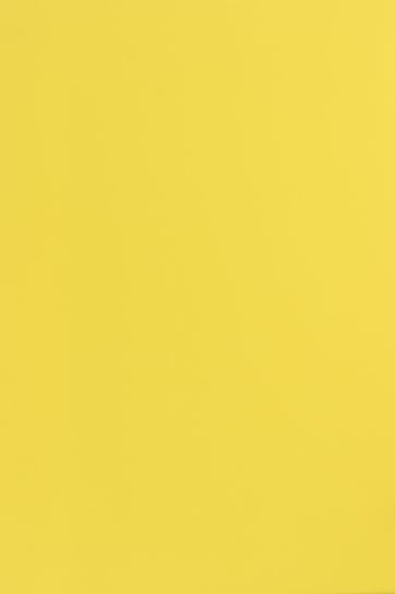 Papier ozdobny gładki A4 żółty Sirio Color Limone 210g 25 ark. - na certyfikaty wizytówki dyplomy kartki 3D Sirio Color