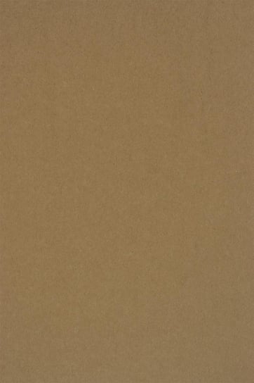 Papier ozdobny gładki ekologiczny A4 brązowy EKO Kraft 340g 20 ark. - papier o surowym wykończeniu do zaproszeń ślubnych urodzinowych rustykalnych Kraft