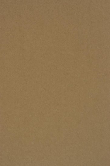 Papier ozdobny gładki ekologiczny A4 brązowy EKO Kraft 400g 20 ark. - na zaproszenia ślubne rustykalne etykiety zawieszki Kraft