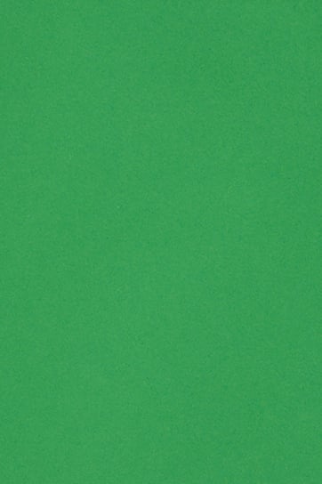 Papier ozdobny kolorowy wycinanka A5 zielony 250g 10 ark. - na zaproszenia ślubne kartki wielkanocne vouchery Burano