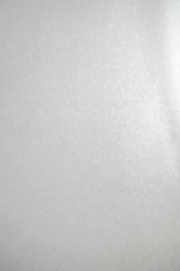 Papier ozdobny, metalizowany, Aster Metallic, White Sequins, biały, A4, 10 arkuszy Aster Metallic