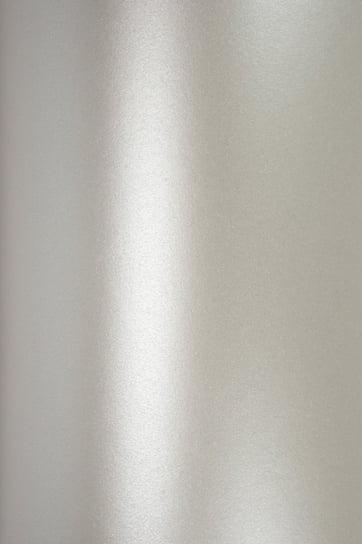 Papier ozdobny perłowy A4 srebrny Aster Metallic Silver 120g 10 ark. - na dekoracje papierowe girlandy wycinanki Netuno