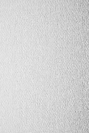 Papier Prisma 120g Bianco biały 20A5 dla plastyków Favini
