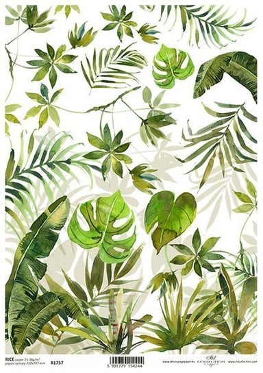 Papier ryżowy , A4, R1757, kwiaty monstera palma ITD Collection