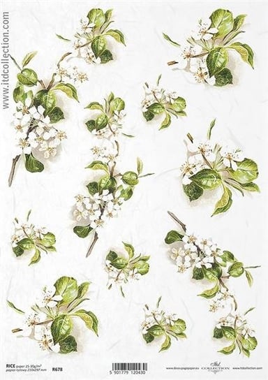 Papier ryżowy ITD A4 R678 kwiat jabłoni ITD Collection