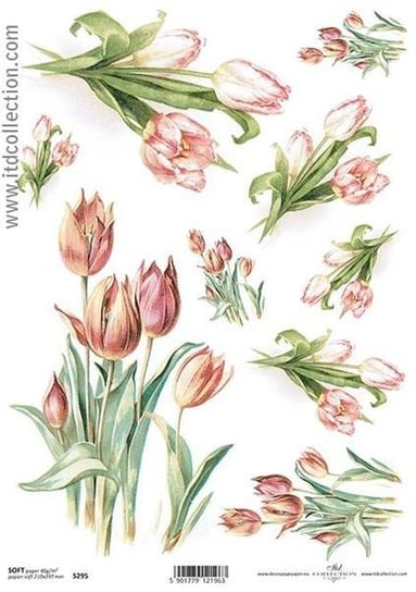 Papier SOFT ITD A4 S295 tulipany ITD Collection