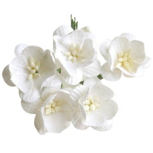 Papierowe KWIATY WIŚNI białe - 50szt Wild Orchid Crafts