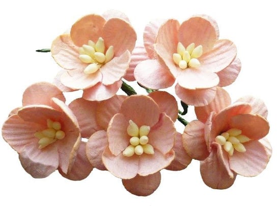 Papierowe KWIATY WIŚNI brzoskwiniowe - 50szt Wild Orchid Crafts