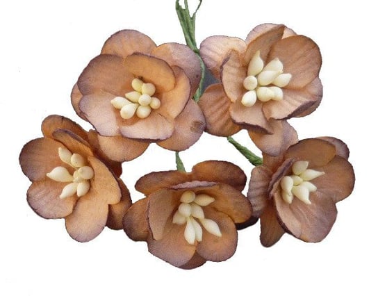 Papierowe KWIATY WIŚNI czekoladowo-brązowe - 50szt Wild Orchid Crafts