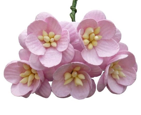 Papierowe KWIATY WIŚNI dziecięcy róż - 50szt Wild Orchid Crafts