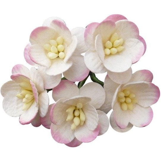 Papierowe KWIATY WIŚNI różowo-kremowe - 50szt Wild Orchid Crafts