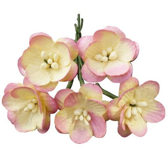 Papierowe KWIATY WIŚNI szampańsko-różowe - 50szt Wild Orchid Crafts
