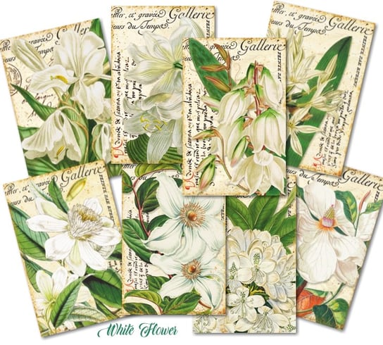 Papiery Do Scrapbookingu - Bileciki Prezentowe – Karneciki Zestaw M120 Biały kwiat 24szt Decorer