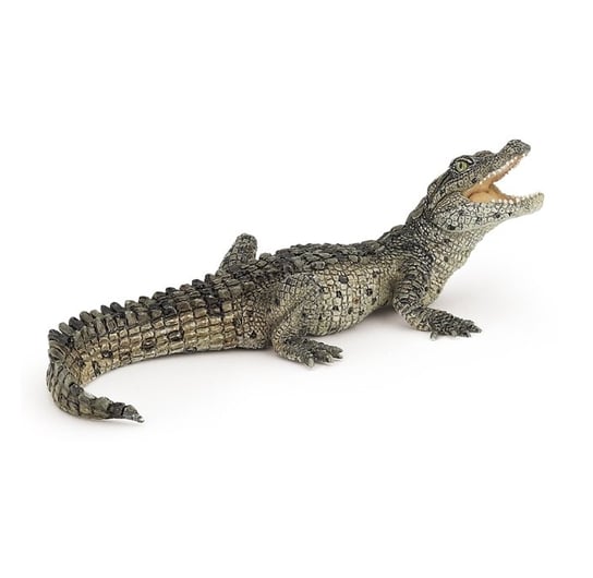 Papo 50137 Krokodyl młody  11x5x4cm (50137 RUSSELL) Papo