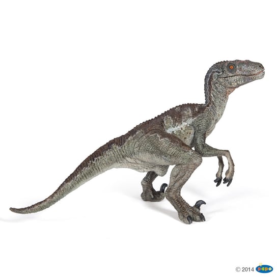 Papo 55023 Velociraptor  19x7x9,5cm Papo