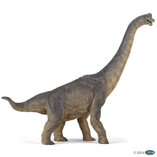 Papo 55030 Brachiozaur   39,5x8x30cm Papo