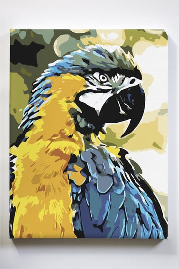 Papuga, ptak, egzotyka, malowanie po numerach Akrylowo