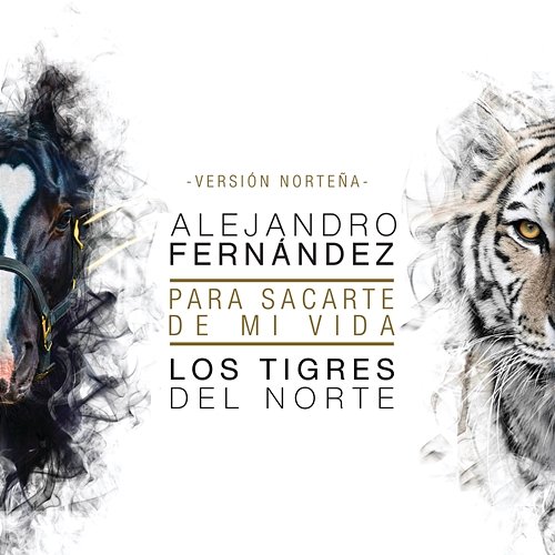Para Sacarte De Mi Vida Alejandro Fernández feat. Los Tigres Del Norte