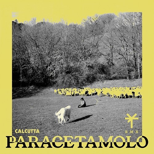 Paracetamolo Calcutta & TY1