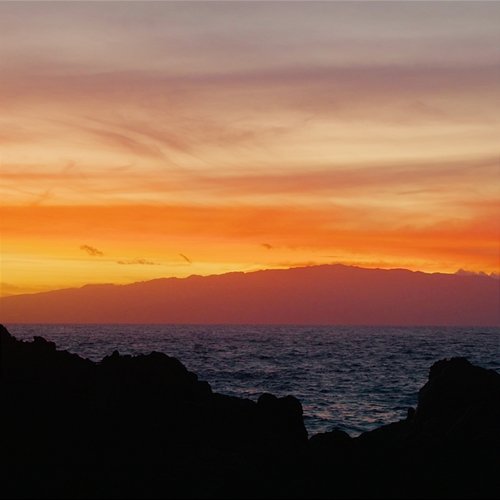 Paradise Jay Ocean