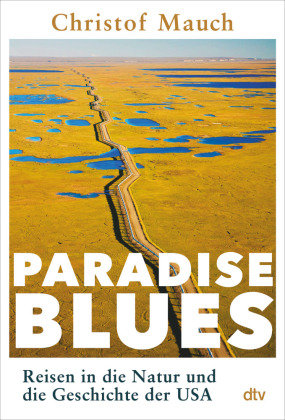 Paradise Blues Dtv
