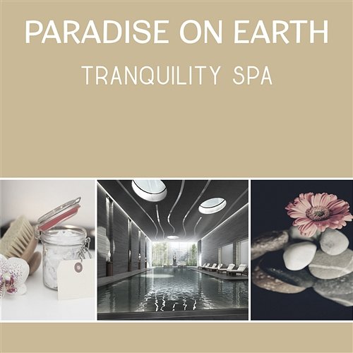 Paradise on Earth - Tranquility Spa, Health and Beauty Treatments, Relaxation Sounds to Clean Your Body and Mind from Bad Energy, Total Rest and Regeneration Spa Center Academy