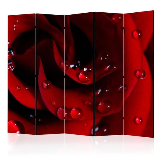 Parawan ARTGEIST Czerwona róża i krople rosy II, 5-częściowy ARTGEIST