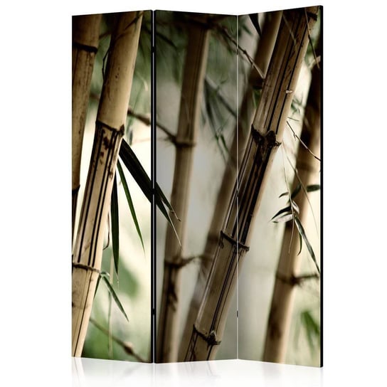 Parawan ARTGEIST Fog and bamboo forest, 3-częściowy ARTGEIST