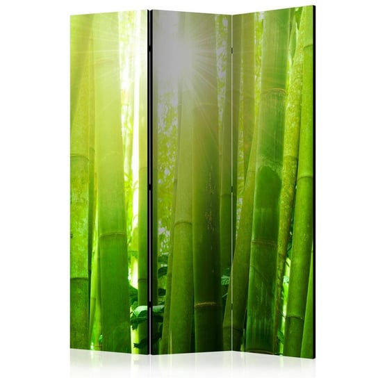 Parawan ARTGEIST Słońce i bambus, 3-częściowy ARTGEIST