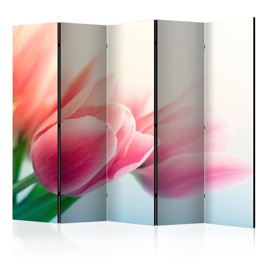 Parawan ARTGEIST Wiosna i tulipany II, 5-częściowy ARTGEIST