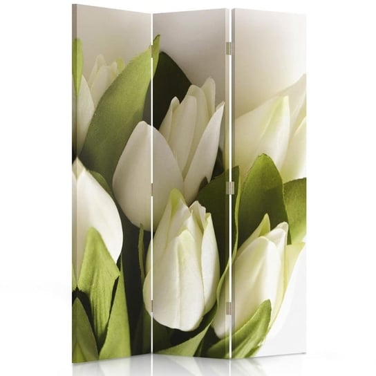 Parawan dwustronny FEEBY, Białe Tulipany Kwiaty 110x170 Feeby