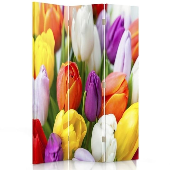 Parawan dwustronny obrotowy FEEBY, Kolorowe Tulipany Kwiaty 110x170 Feeby