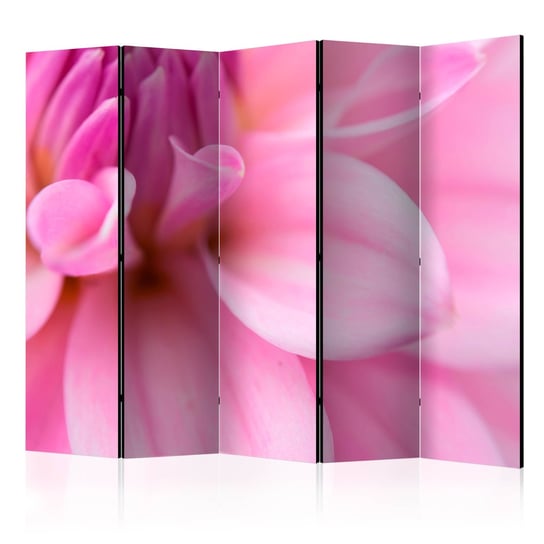 Parawan - Kwiatowe płatki - dalia II [Room Dividers] ARTGEIST