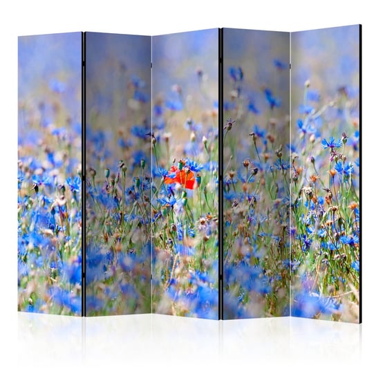 Parawan - ĹÄ…ka w kolorze nieba - chabry II [Room Dividers] 225x172 Akustyczny Płótno flizelinowe 170 g/mÂ˛ ARTGEIST