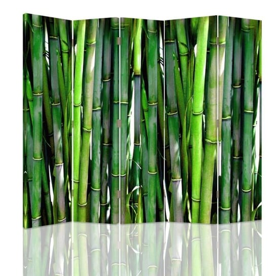 Parawan pokojowy FEEBY, Bambus, Dwustronny 180x170cm 5-częściowy Feeby