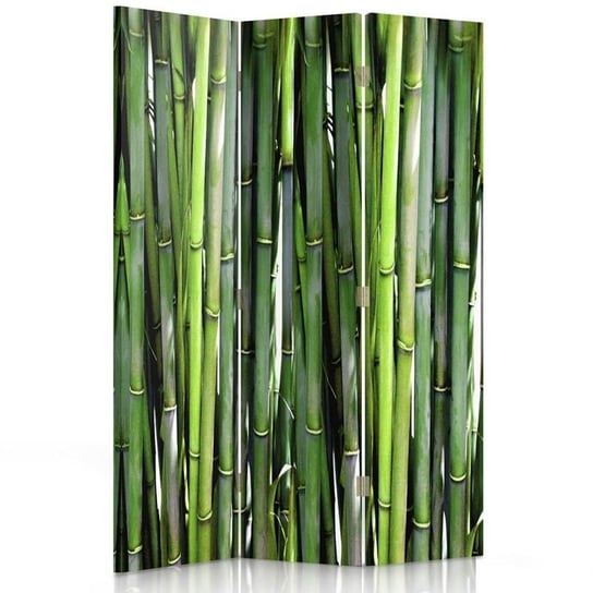 Parawan pokojowy FEEBY, Bambus, Obrotowy 110x170cm 3-częściowy Feeby