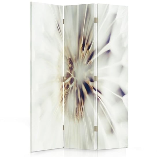 Parawan pokojowy FEEBY, Białe kwiaty 2, Dwustronny 110x170cm 3-częściowy Feeby