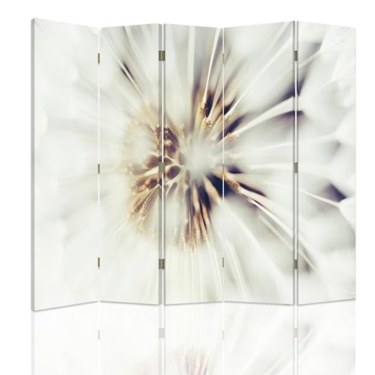 Parawan pokojowy FEEBY, Białe kwiaty 2, Obrotowy 180x170cm 5-częściowy Feeby